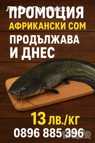 Продавам африкански сом , снимка 2 - Други животни - 52590041