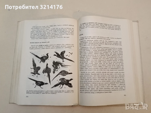 Myslivost. Státní zemědělské nakladatelství – Колектив (1966), снимка 9 - Специализирана литература - 51428570