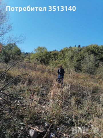 Парцел с. Панчарево, София, снимка 11 - Парцели - 51669556