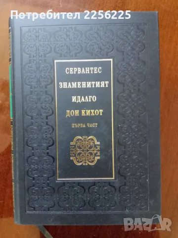 Знаменитият идалго Дон Кихот ( първа част ) 