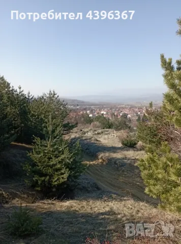 Продава се Парцел в Сапарева баня , снимка 7 - Парцели - 49521306