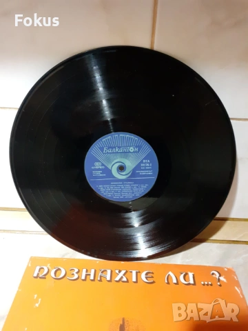 Стара голяма грамофонна плоча, снимка 6 - Антикварни и старинни предмети - 53390756