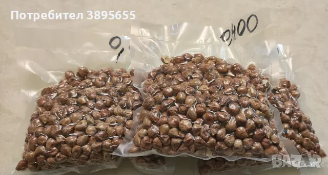 БИО Лешници "Дончеви" Собствено производство, снимка 3 - Домашни продукти - 47947757