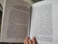 Вечно зелени дървета, снимка 2