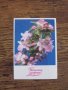 Пощенски картички Честита Пролет от 1982 и 1988 г. - нови , снимка 6