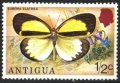 Чиста марка Фауна Пеперуда 1975 от Антигуа, снимка 1 - Филателия - 38929859