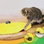 Забавна интерактивна игра за котки "Къде е мишката?", снимка 1 - Други стоки за животни - 33473921