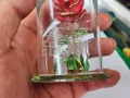 Стъклена роза Disney beauty and the beast, снимка 3