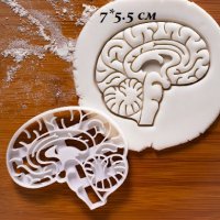 Мозък Череп пластмасов резец форма фондан тесто бисквитки, снимка 1 - Форми - 36679705
