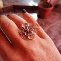 Невероятен сребърен пръстен , снимка 6 - Пръстени - 39284441