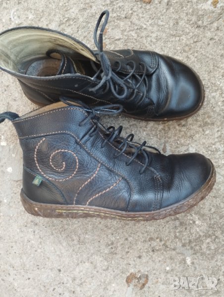 El naturalista номер 38., снимка 1