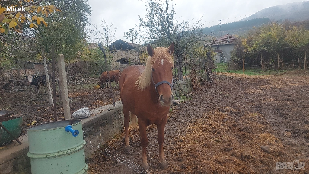 за продажба, снимка 1