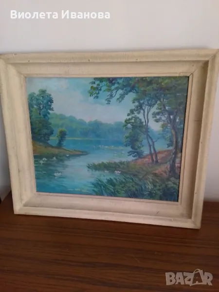 Река Ропотамо, маслени бои, размери на картината 48/48 см, а с рамката 62/52 см., снимка 1