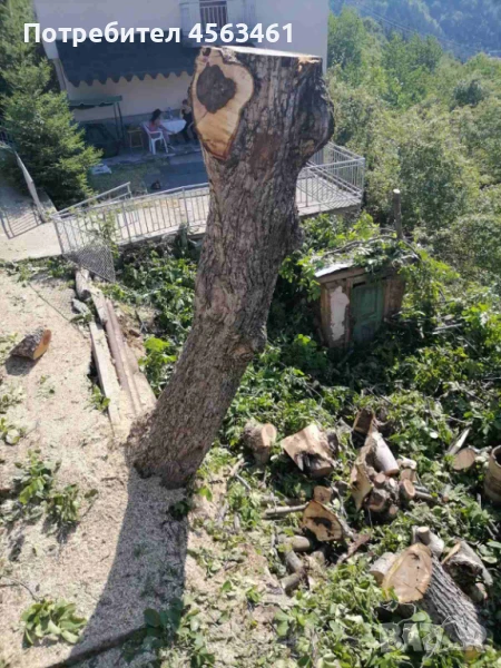 Продавам дървен материал ОРЕХ , снимка 1