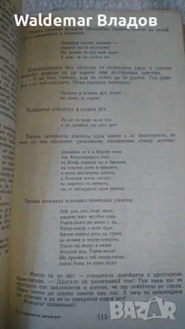 Старо -немски Декамерон! , снимка 11 - Художествена литература - 49842441