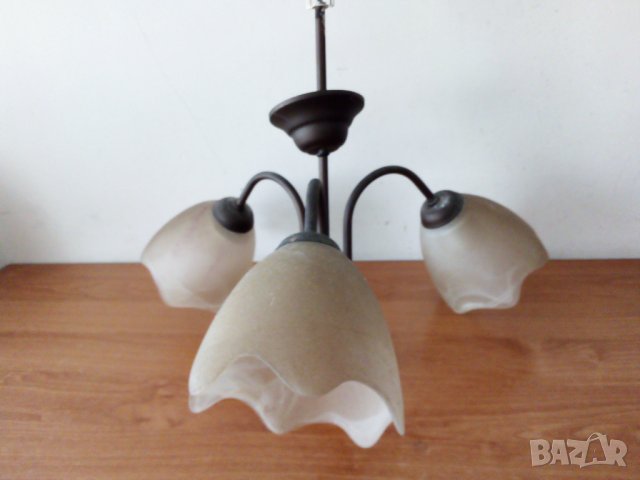 Полилеи, снимка 3 - Полилеи - 43998121