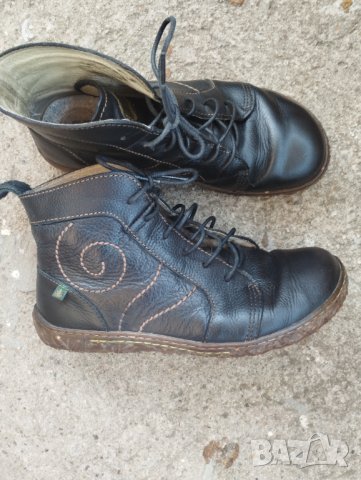 El naturalista номер 38.