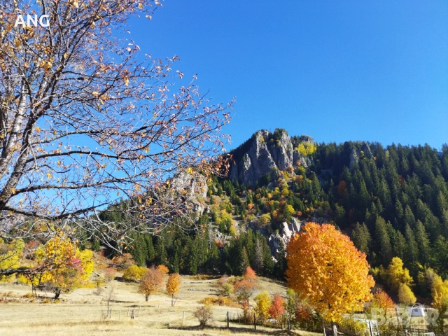 Продава парцел в Смолянски езера , снимка 6 - Парцели - 52178672