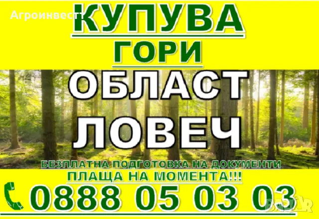 Купува Гори със земята или за сеч, снимка 5 - Други услуги - 44776854