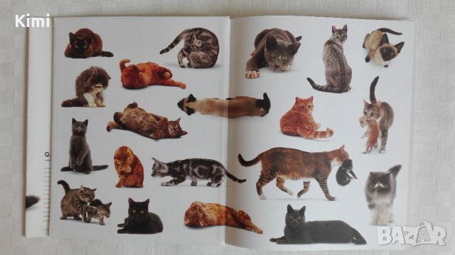 Котешки луксозни албуми, снимка 9 - Други - 26550144