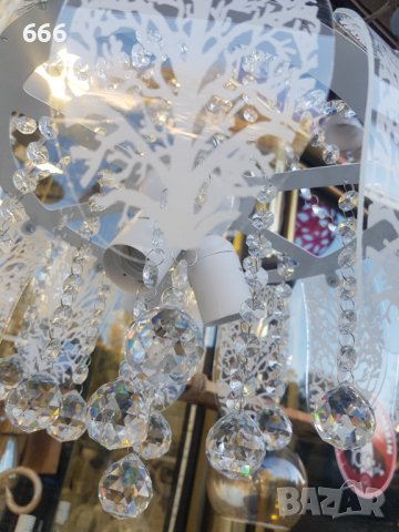 Полилей, снимка 5 - Полилеи - 43341895