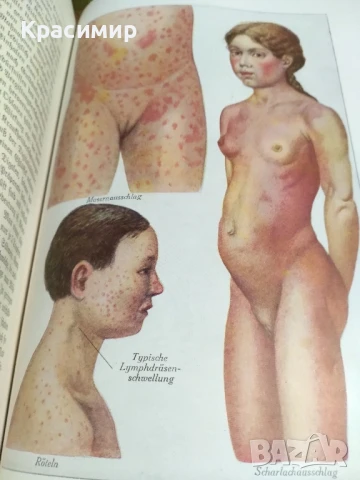 Семеен Лекар .1926 г.д-р мед.Бела Мюлер., снимка 6 - Антикварни и старинни предмети - 51139029