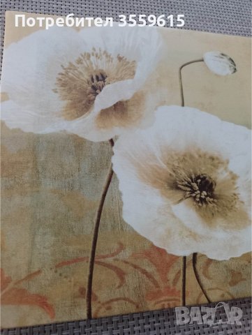 картина пано Бели цветя от Португалия, снимка 2 - Картини - 39134946
