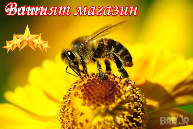 Натурален висококачествен чист Пчелен прашец от природата естествено добит от пчели отлично качество, снимка 6 - Пчелни продукти - 49009813