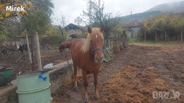 преговори, снимка 2 - Други - 52787271