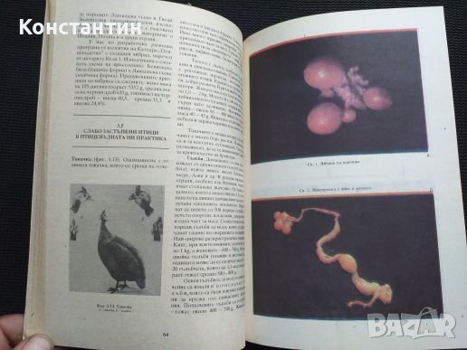 Птицевъдство, снимка 2 - Специализирана литература - 40822201