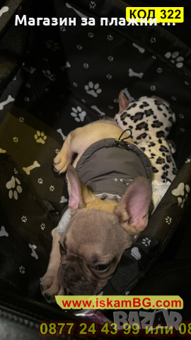 Автомобилна седалка за куче - КОД 3221, снимка 5 - Аксесоари и консумативи - 44861383