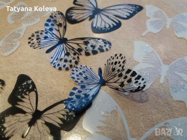 3Д пеперуди за декорация, снимка 7 - Декорация за дома - 32818290