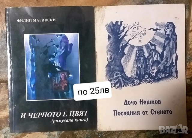 Поезия за ценители , снимка 2 - Художествена литература - 53020807