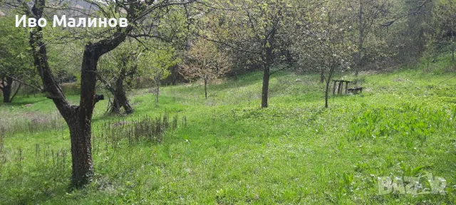 Продавам имот в землището на гара Лакатник, снимка 7 - Парцели - 47582139