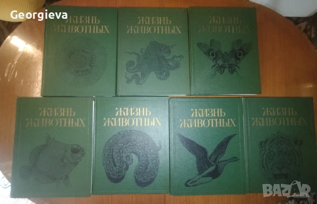 енциклопедия жизнь живот ни, снимка 4 - Енциклопедии, справочници - 51382271