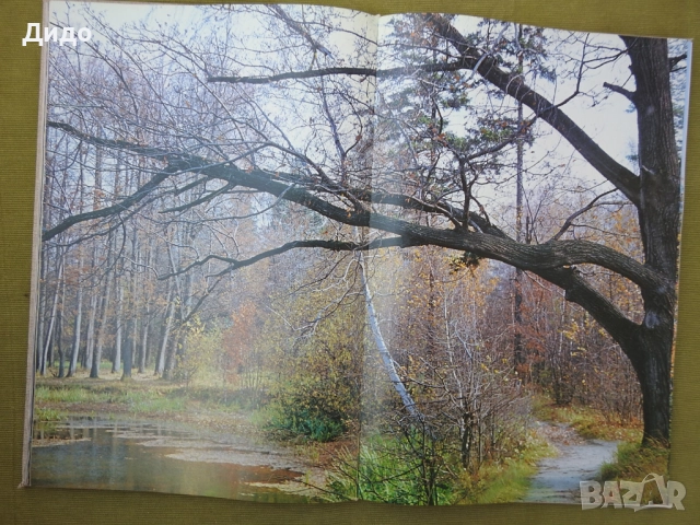 Времена Года, Годишните времена - Фото албум Поезия 1978 руски език, 40 см, снимка 8 - Специализирана литература - 52087712