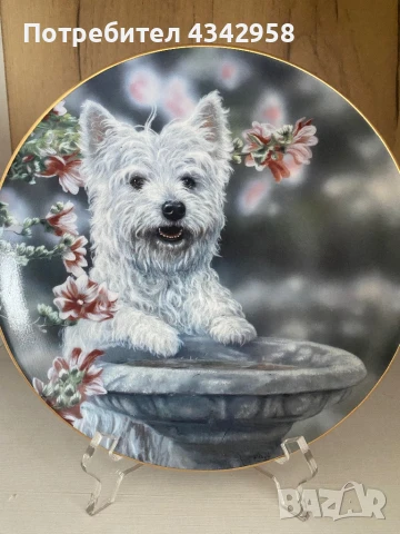 Колекционерска чиния от серия “ Westies “