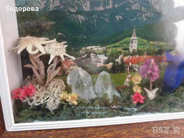 Хербаризирани цветя и кристали в рамка под стъкло  от Астрийските Алпи -Floralp Tyrol , снимка 3 - Декорация за дома - 49150521
