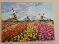 Картина Амстердамски мелници. , снимка 2