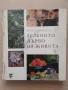 "Зеленото дърво на живота" Леонид Волински , снимка 1