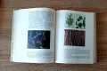 Енциклопедии/8броя за 38лв/ и Атлас по ботаникаС.Петров и Е.Паламарев, снимка 6