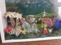 Хербаризирани цветя и кристали в рамка под стъкло  от Астрийските Алпи -Floralp Tyrol , снимка 3