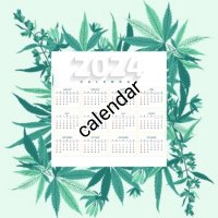 Календари 'Legalize THC Weed' (Супер Ламинат), снимка 3 - Други - 39806984