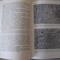 Книга "Болести на единствения бъбрек-Т.Патрашков" - 208 стр., снимка 6 - Специализирана литература - 40456612