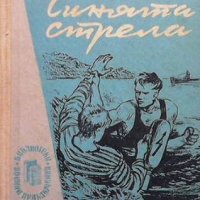 Синята стрела, снимка 1 - Художествена литература - 43543994