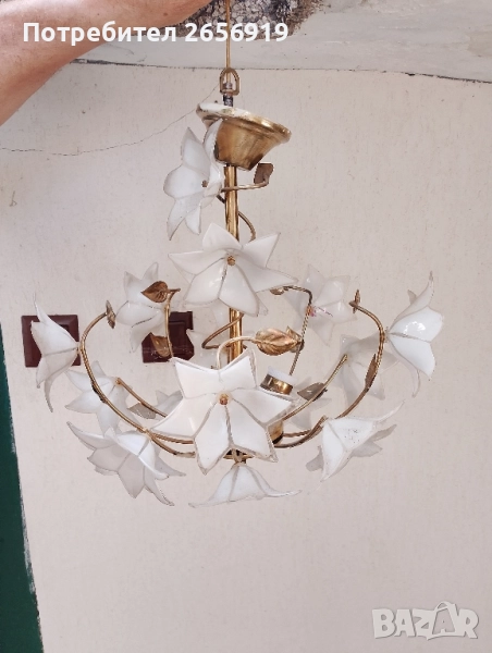 Полилеи, снимка 1