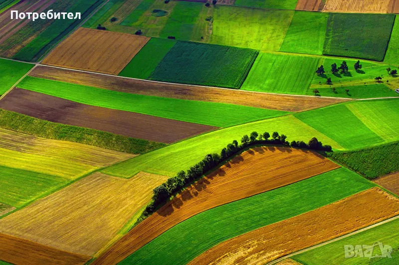 Нива Земеделска земя Парцел в село Гълъбник до София Перник Радомир, снимка 1