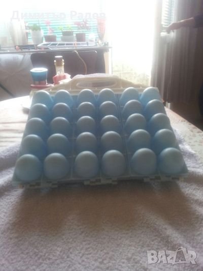 Контейнер за съхранение и пренос на яйца-30 бр и още един контер. за 10 бр яйца, снимка 1
