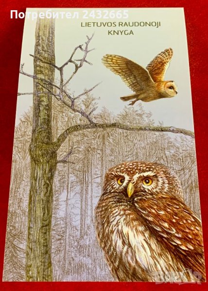 1921. Литва 2014 ~ “ Фауна. Червена книга на Литва: Сови.  ”, **, MNH, снимка 1