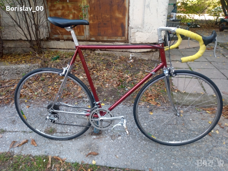 Шосеен бегач , снимка 1